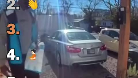 Funny cat video.