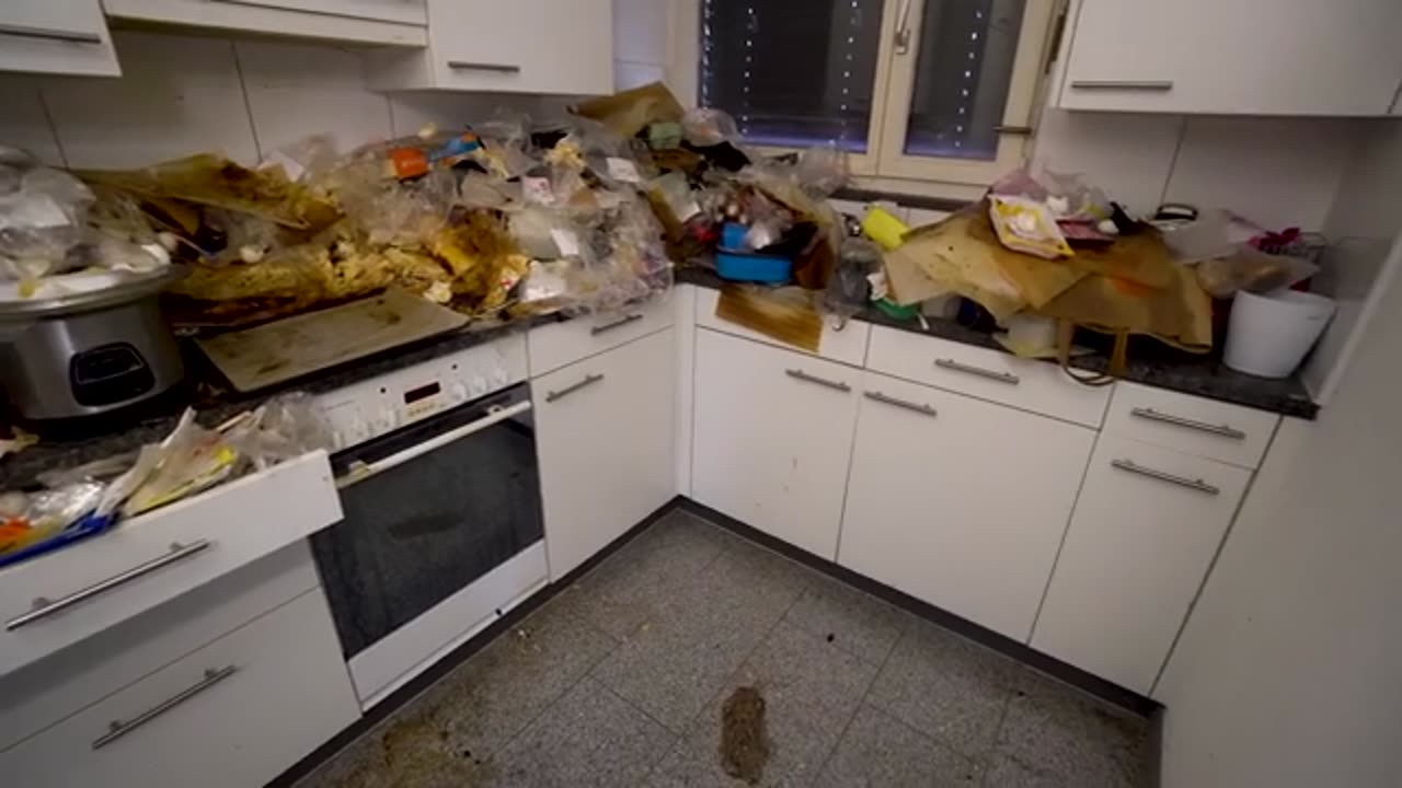 She Couldn’t Afford a $15,000 Professional Cleaning – So I Did It for Free 💖_part1