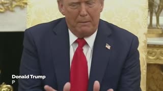 Trump: "Fue maravilloso que Putin llegara a EE.UU."