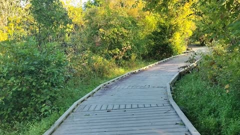 Yet Another Monday Morning Walk