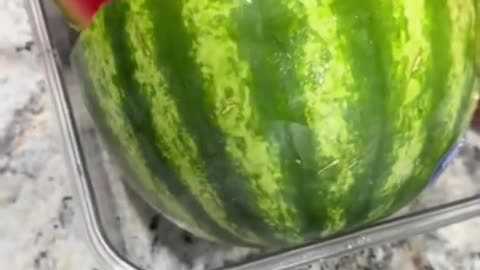 What is going on with the watermelons