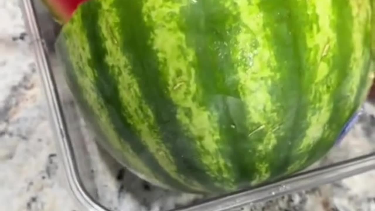 What is going on with the watermelons