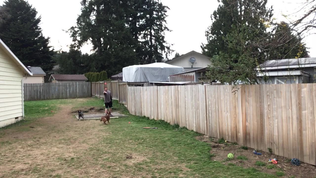 backyard hangout 3209843209842098420