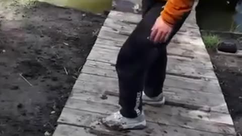 😂🐟 You Won't Believe This Fish's Reaction! | FunFM