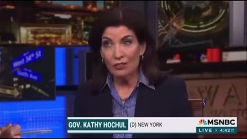 Gov. Kathy Hochul warns they will not allow ICE agents to "just take people off the streets and split up families."