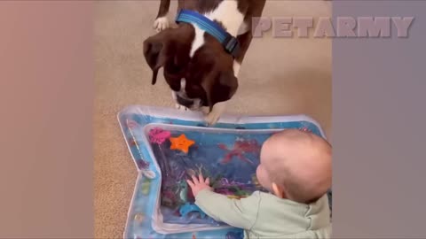 The sweetest animal friends