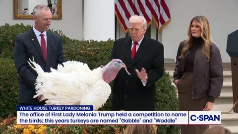 President Trump participates in National Thanksgiving Turkey Pardoning Ceremony