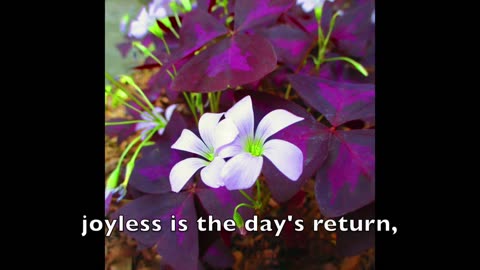 #15: “Christ, Whose Glory Fills The Skies” (w/lyrics) | MODERN MELODIES to METHODIST HYMNAL LYRICS