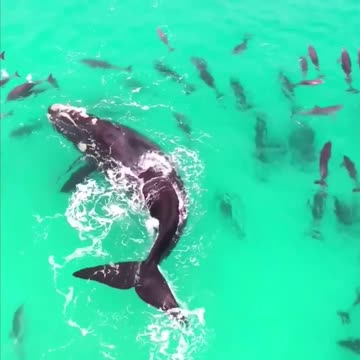 Skinny dipping with friends 😊