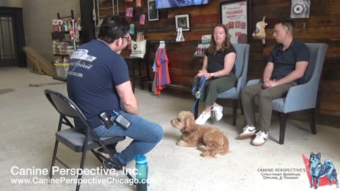 Consultation: Finn | PHS Alumni Returning For Big Boy Off-Leash Obedience, Reliable Recall