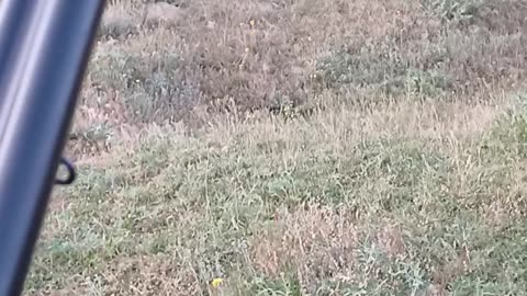 Yörük Dfence