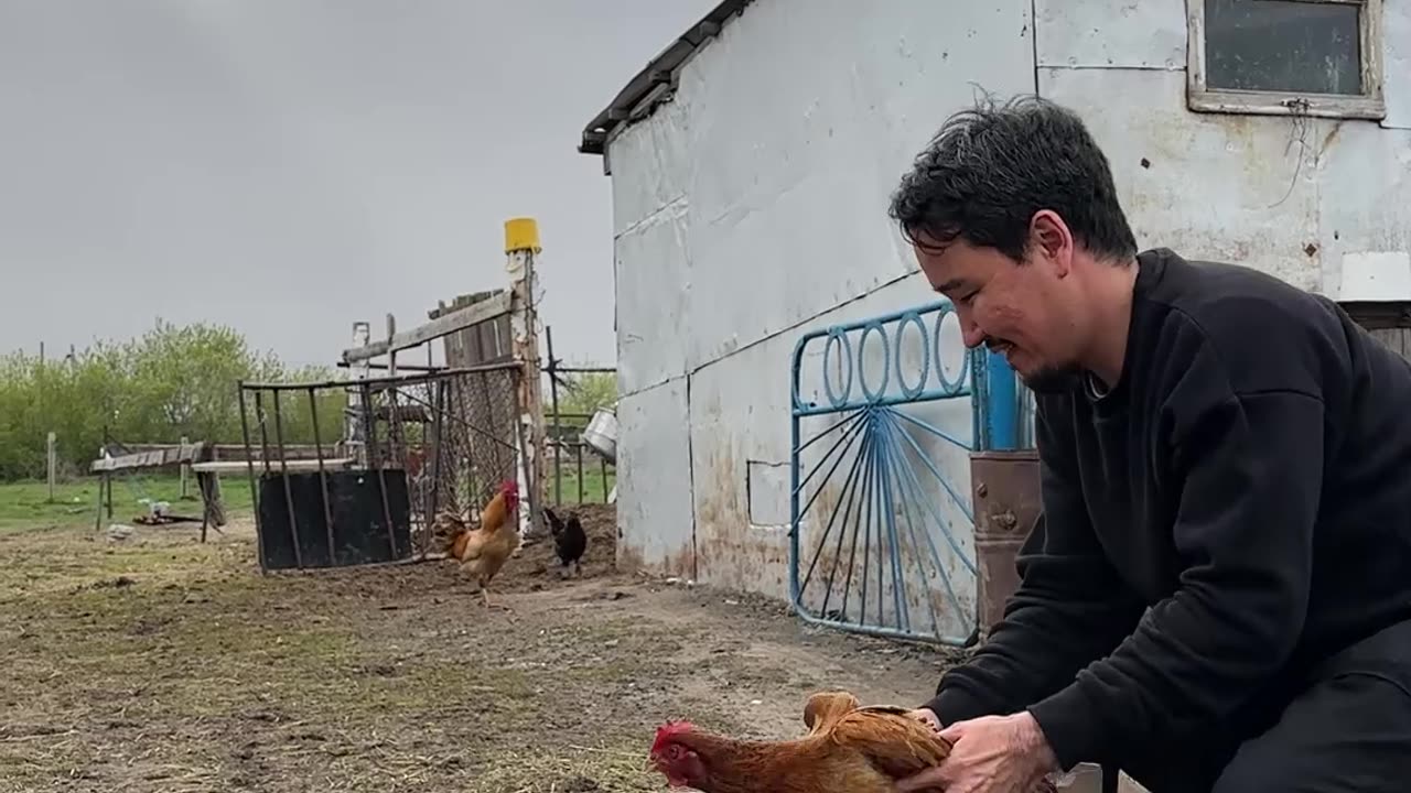 Can a Chicken Stabilize a Camera