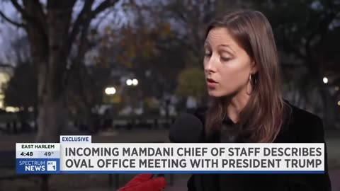 NYC Will Only Faciliate the Arrest & Deportation of Illegals after they BRUTALLY HARM or KlLL an American citizen - Mamdani's Official