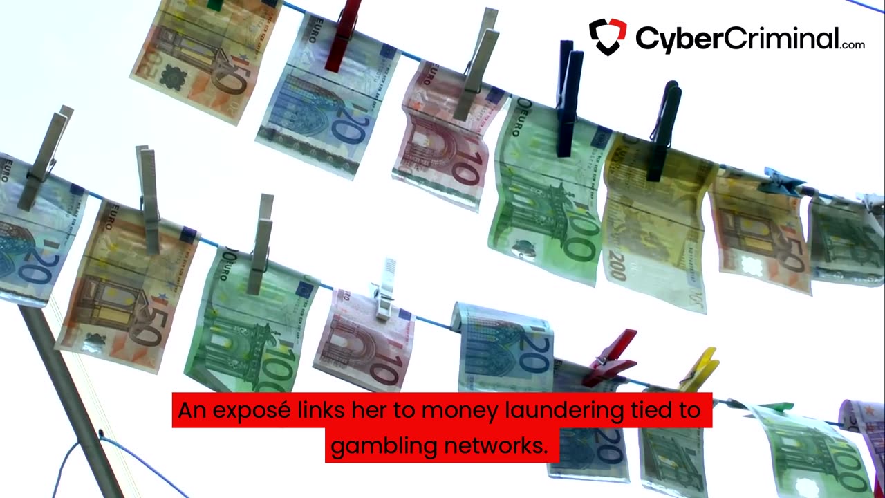 Unmasking Alyona Shevtsova: The Dark Side of Fintech Innovation