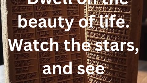 dwell on the beauty of life... I motivation I wisdom