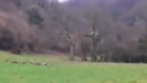 🛸🌳 Brazilian Resident Captures UFO Over Field! | TheTruthAbove