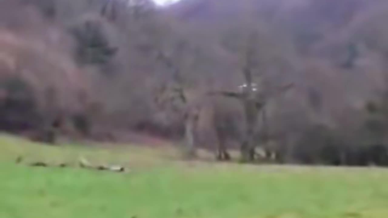 🛸🌳 Brazilian Resident Captures UFO Over Field! | TheTruthAbove