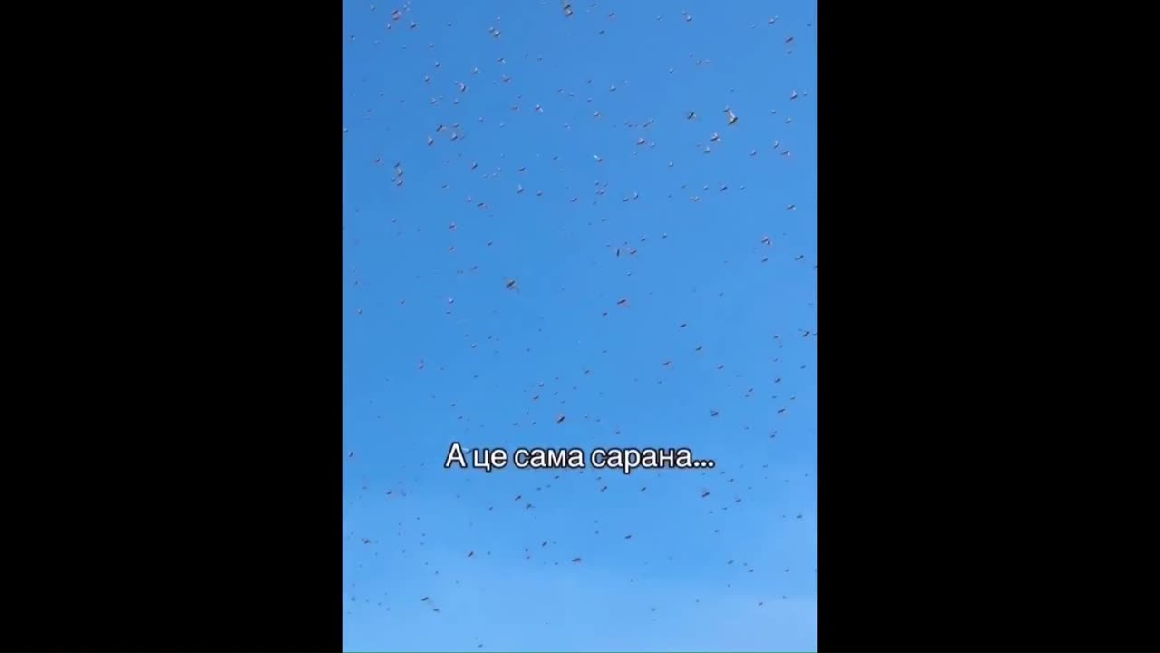 A massive locust invasion is sweeping across Ukraine - Biblical