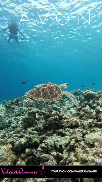 AVON LIMITED EDITION LYRD Tropical Tidings Candle