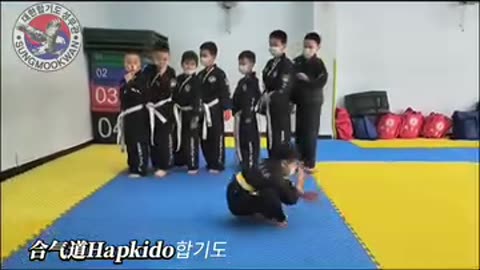 Hapkido