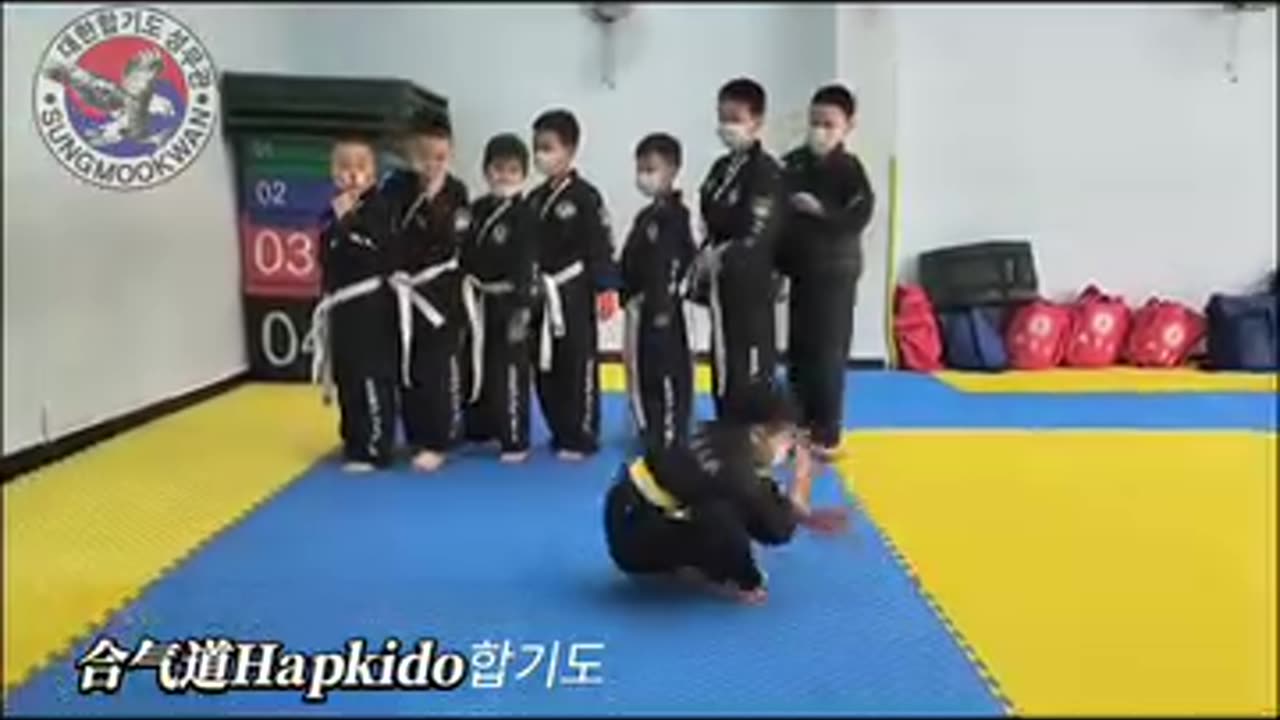 Hapkido