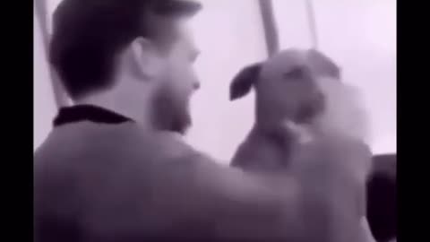 😂🐈 The Funniest Pet Police Officer You'll Ever See! | FunFM