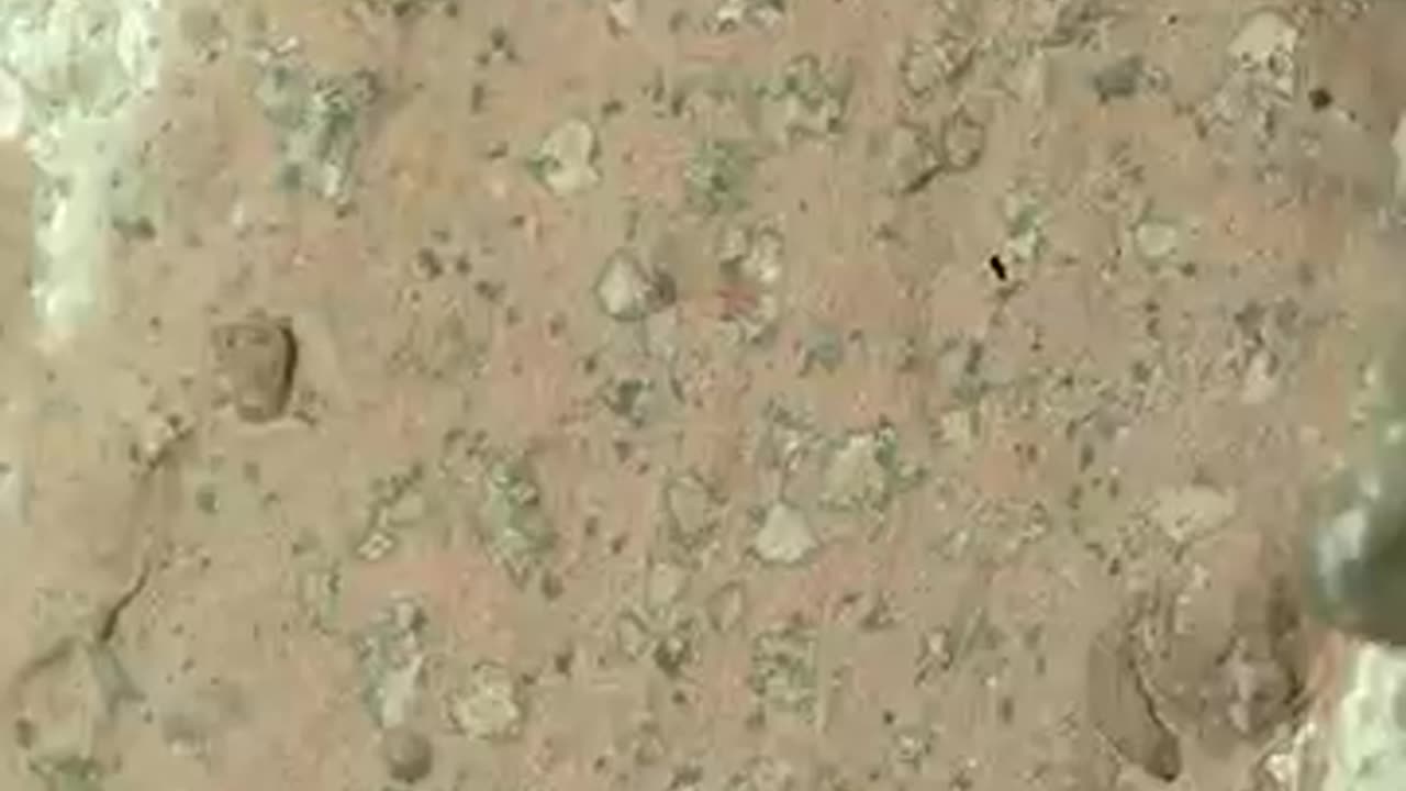 Amazing: New Sign of Life On Mars (Really)