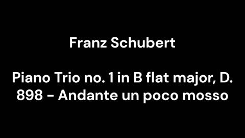 Piano Trio no. 1 in B flat major, D. 898 - Andante un poco mosso