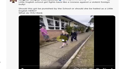 Migrant Teen Male Attacks White Teen Girl While Other Brown People Watch