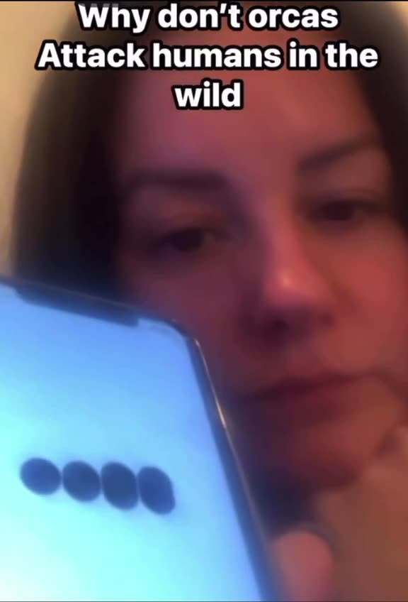 Why don't orcas attack humans in the wild