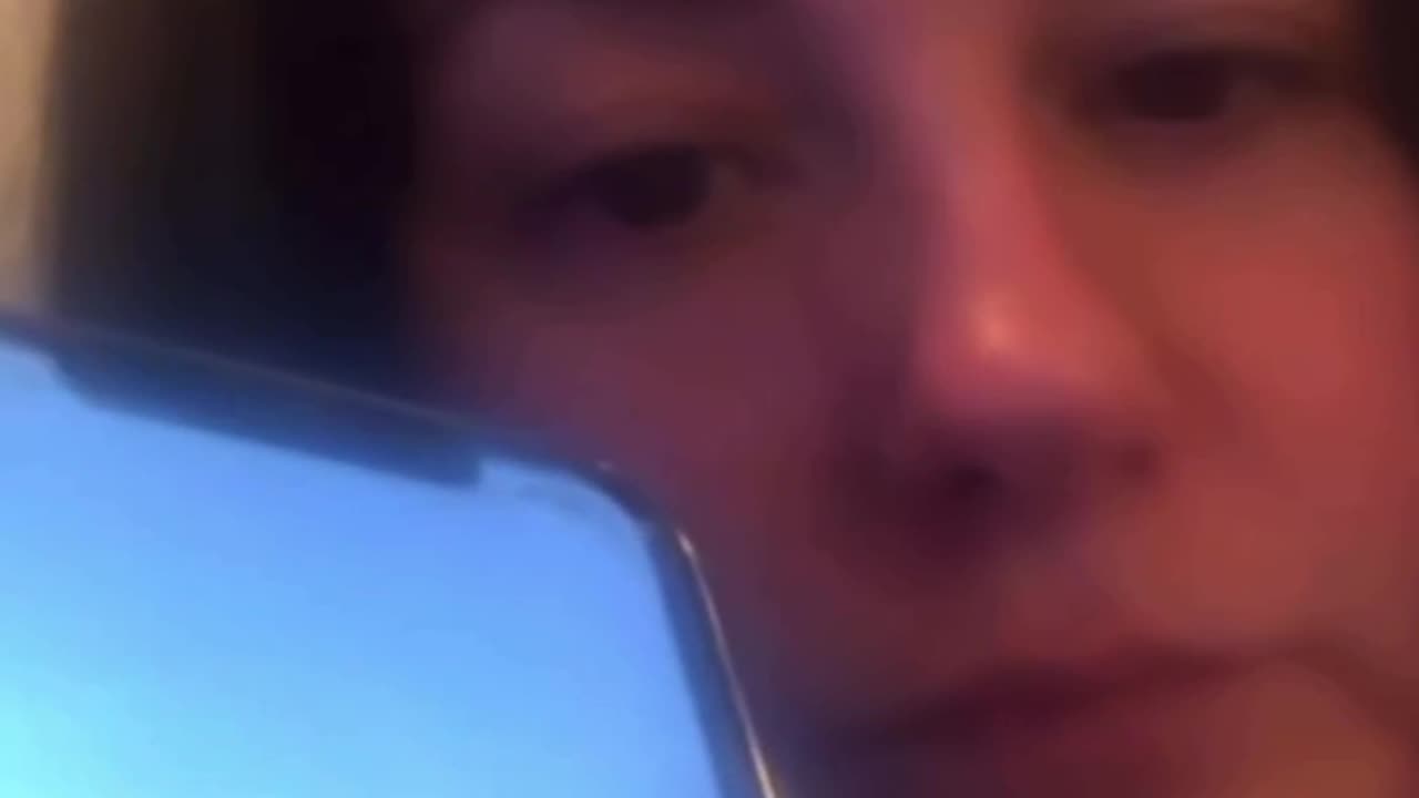 Why don't orcas attack humans in the wild