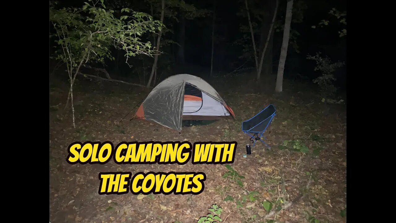 Solo Camping With The Coyotes (Sugar Creek)
