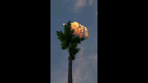 The beauty of nature