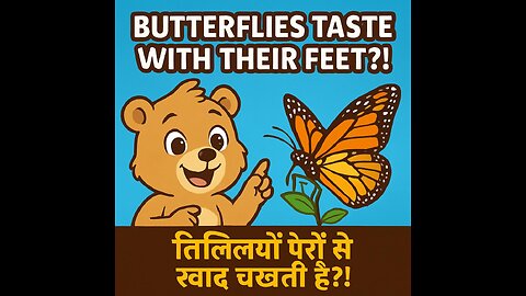 How Do Butterflies Taste with Their Feet? – Amazing Nature Fact for Kids! 🦋