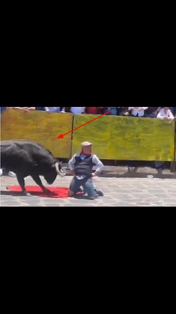 I ALWAYS SIDE WITH THE BULL