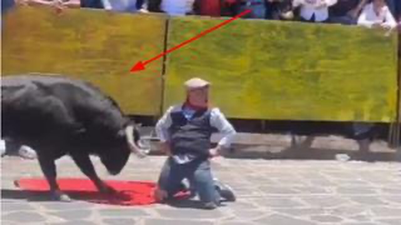 I ALWAYS SIDE WITH THE BULL