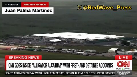 LMAO - 'ITS A TYPE OF TORTURE!': Illegal aliens are now calling and crying to CNN about Alligator