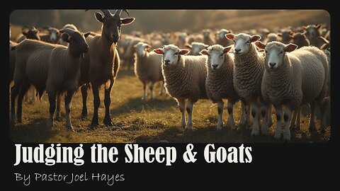 Judging the Sheep & Goats | Pastor Joel Hayes