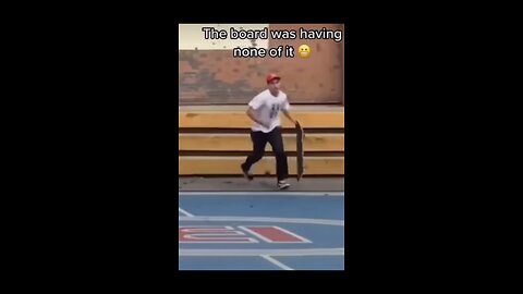 Stop the Shenanigans #funny #funnyvideo #comedy #stoptheshenanagins #laugh