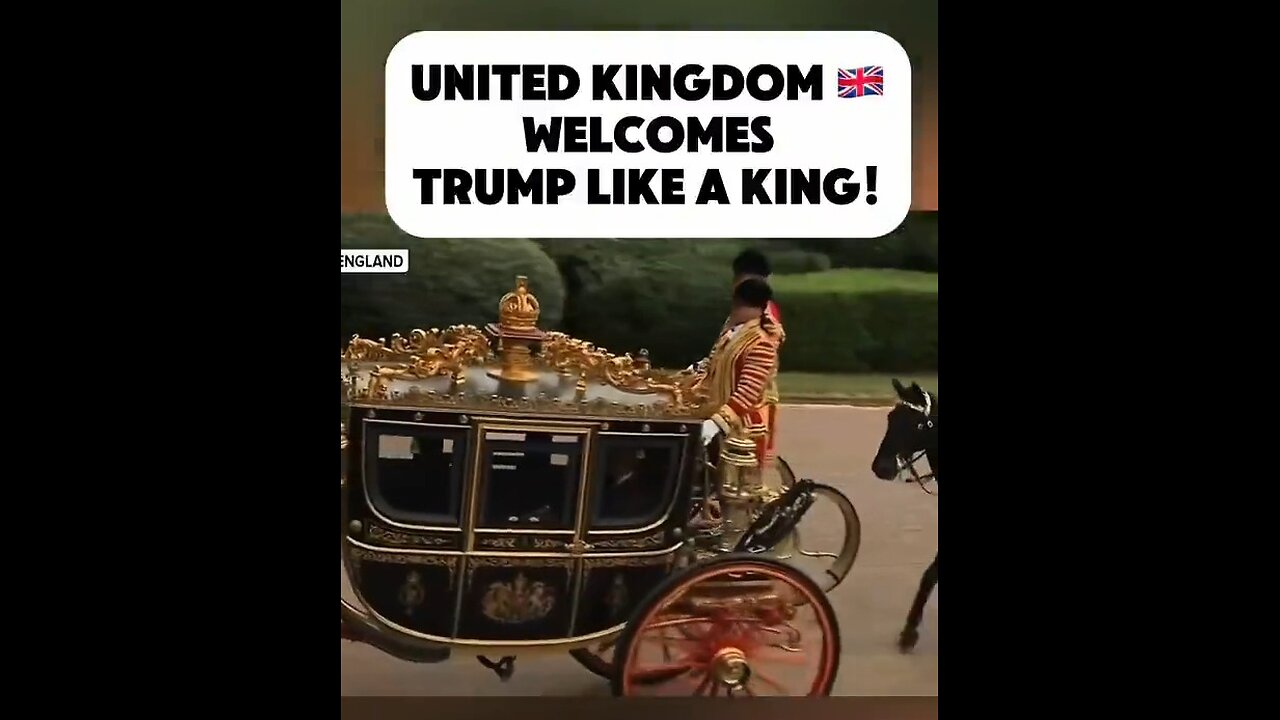 Checkmate. Fake King Down