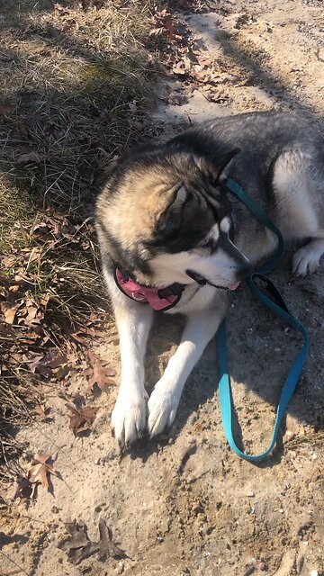 Friday March 21, Open the gates to all who are righteous.