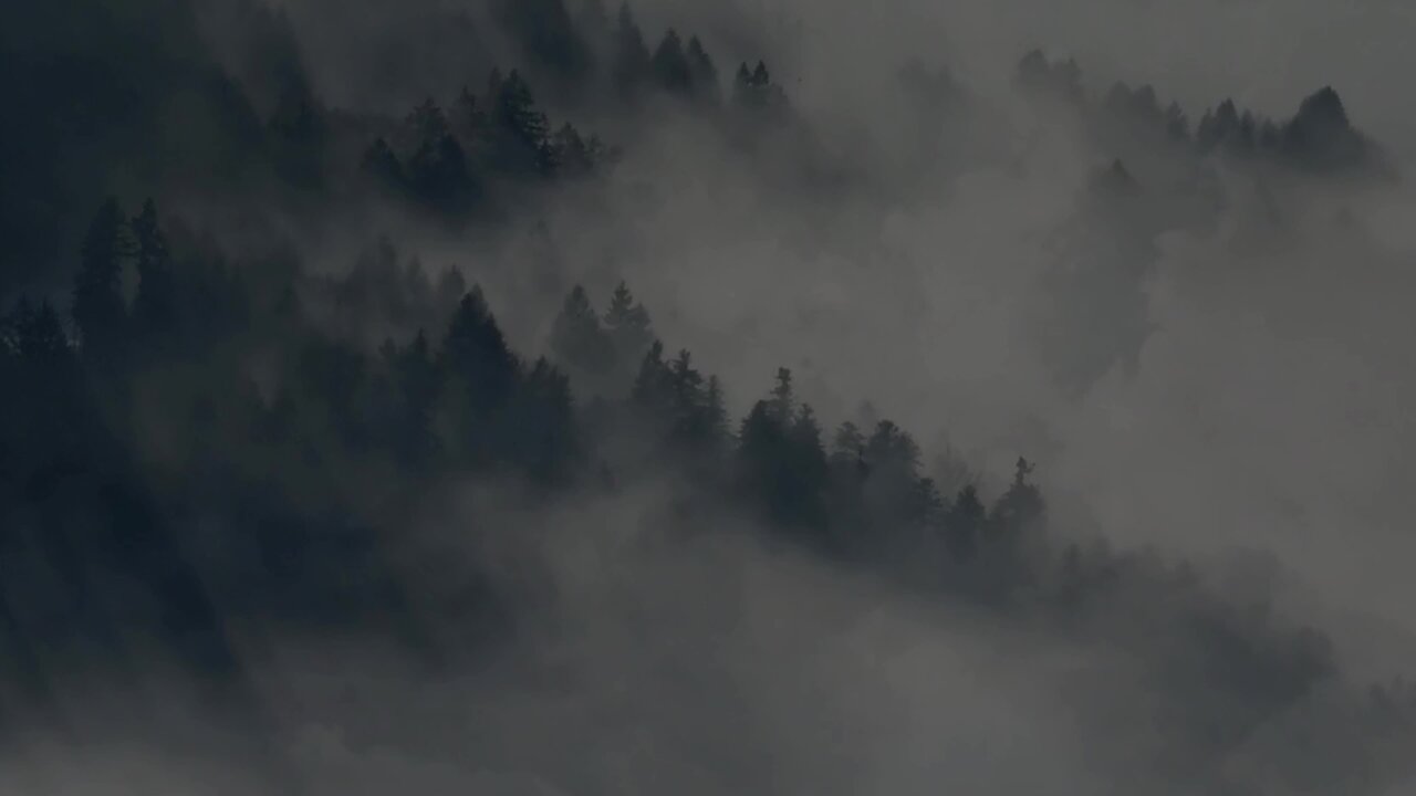 Test Stream