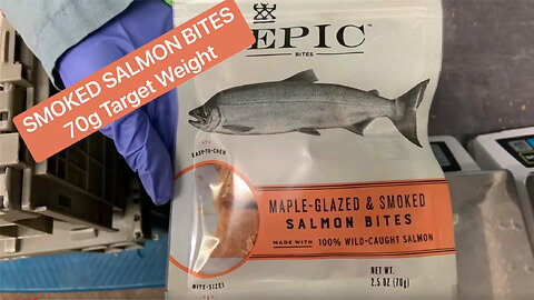 High Tek USA’s Full Production Line - 70g Salmon Bites Beef Jerky Pre Made Pouch Packaging Machine