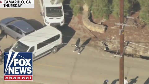 Child predator among more than 300 nabbed in cannabis farm ICE raid, largest of Trump's second term