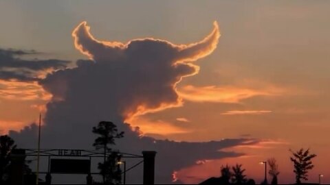 The Bulls are back !!