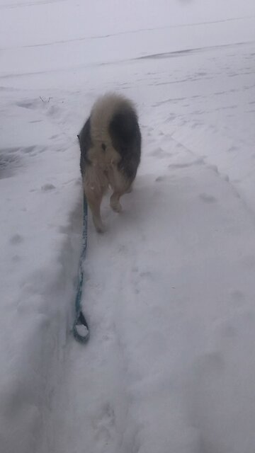 Monday February 2, May the Lord bless you.