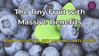 Eat a Handful of Blueberries Daily – Here’s What Happens