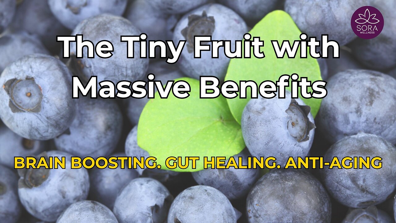 Eat a Handful of Blueberries Daily – Here’s What Happens