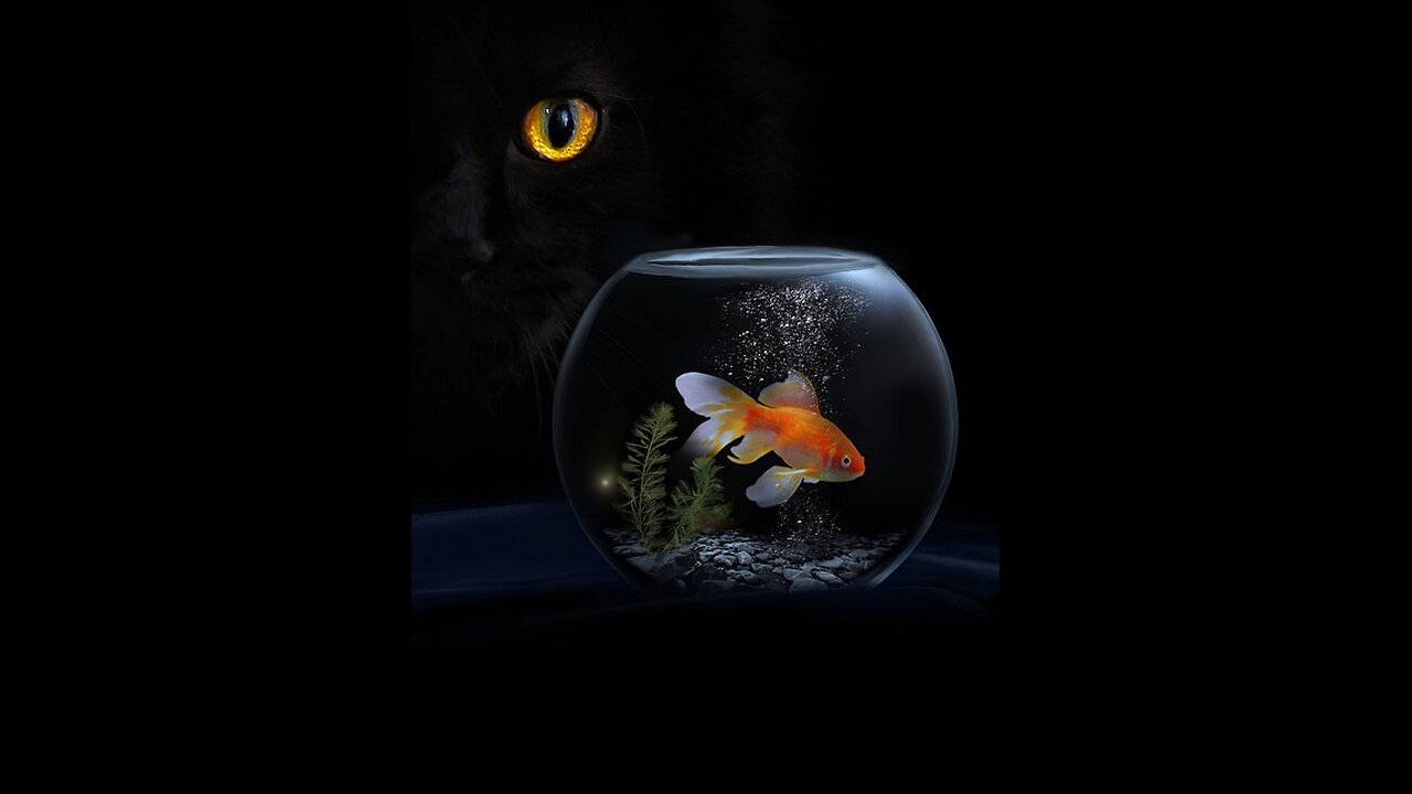 Look at it like this! Too BUSY to think? Oh dear!