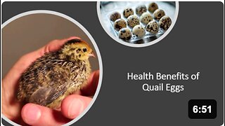 Quail Eggs Natural Medicine Benefits, Uses & Side Effects
